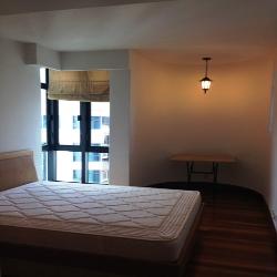 Valley Park (D10), Condominium #53416452